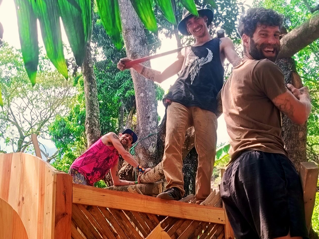 Will and the crew building a wooden deck around a tree